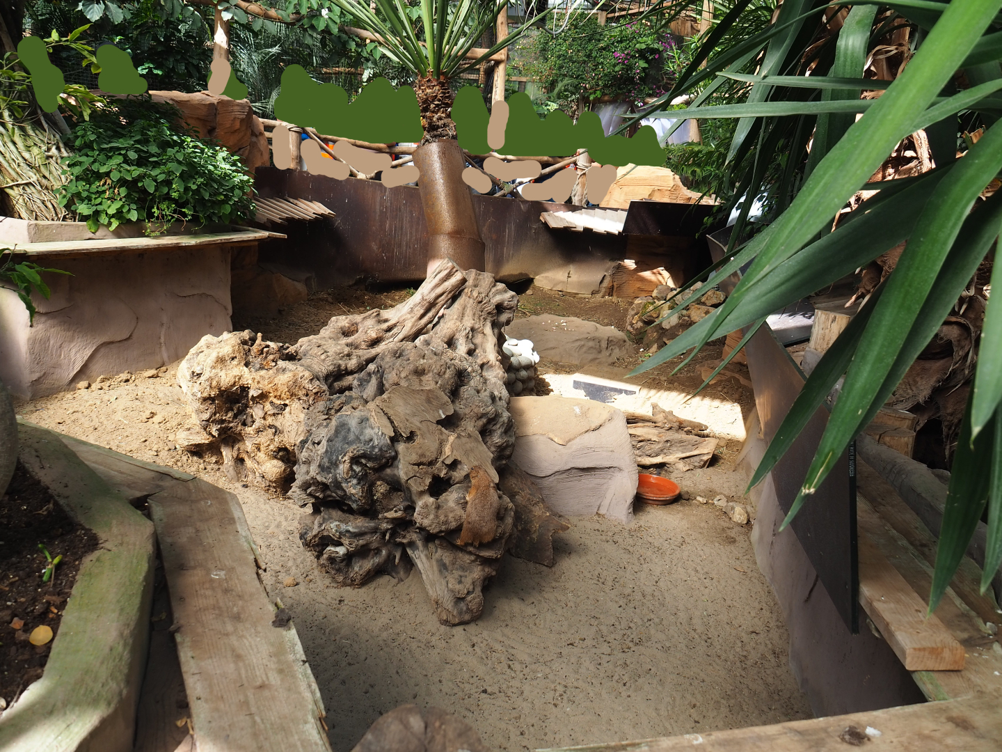 Oasis - Black-tailed prairie dog exhibit, 2022-06-28