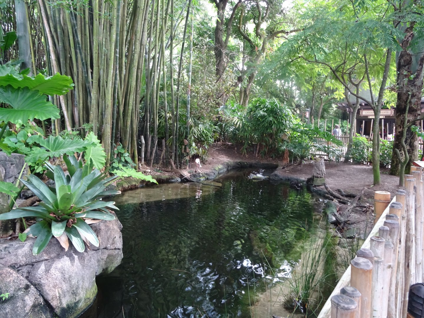 Oasis Enclosures at Disney's Animal Kingdom (2014)