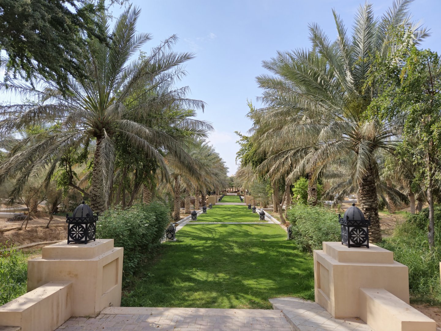 Oasis Garden
