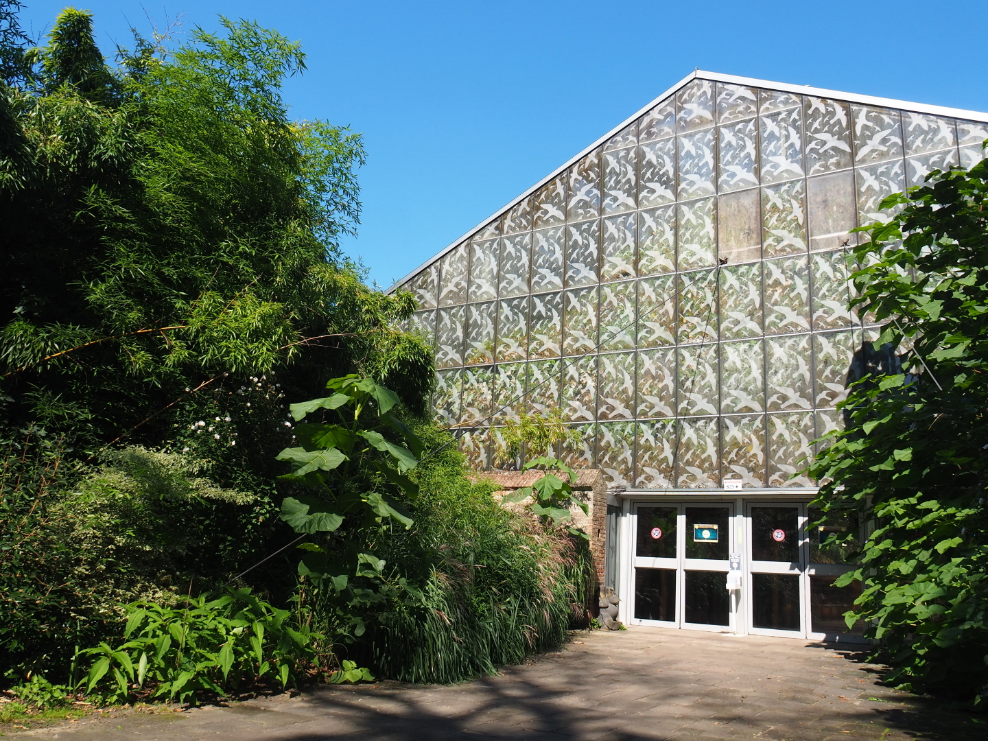 Oasis greenhouse, 2021-09-03