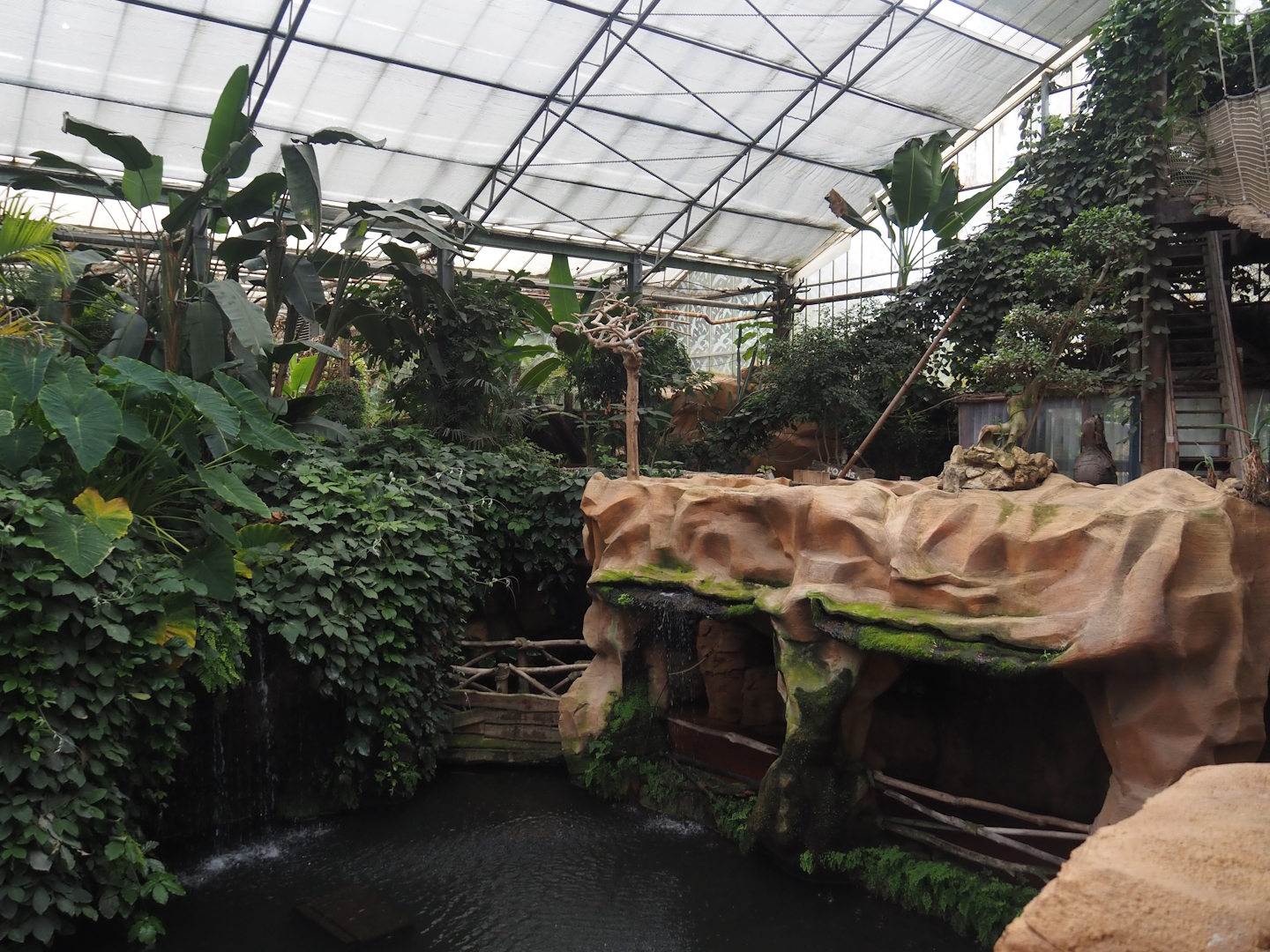 Oasis greenhouse - Lower walkway and waterfalls with armadillo exhibit above, 2024-09-17
