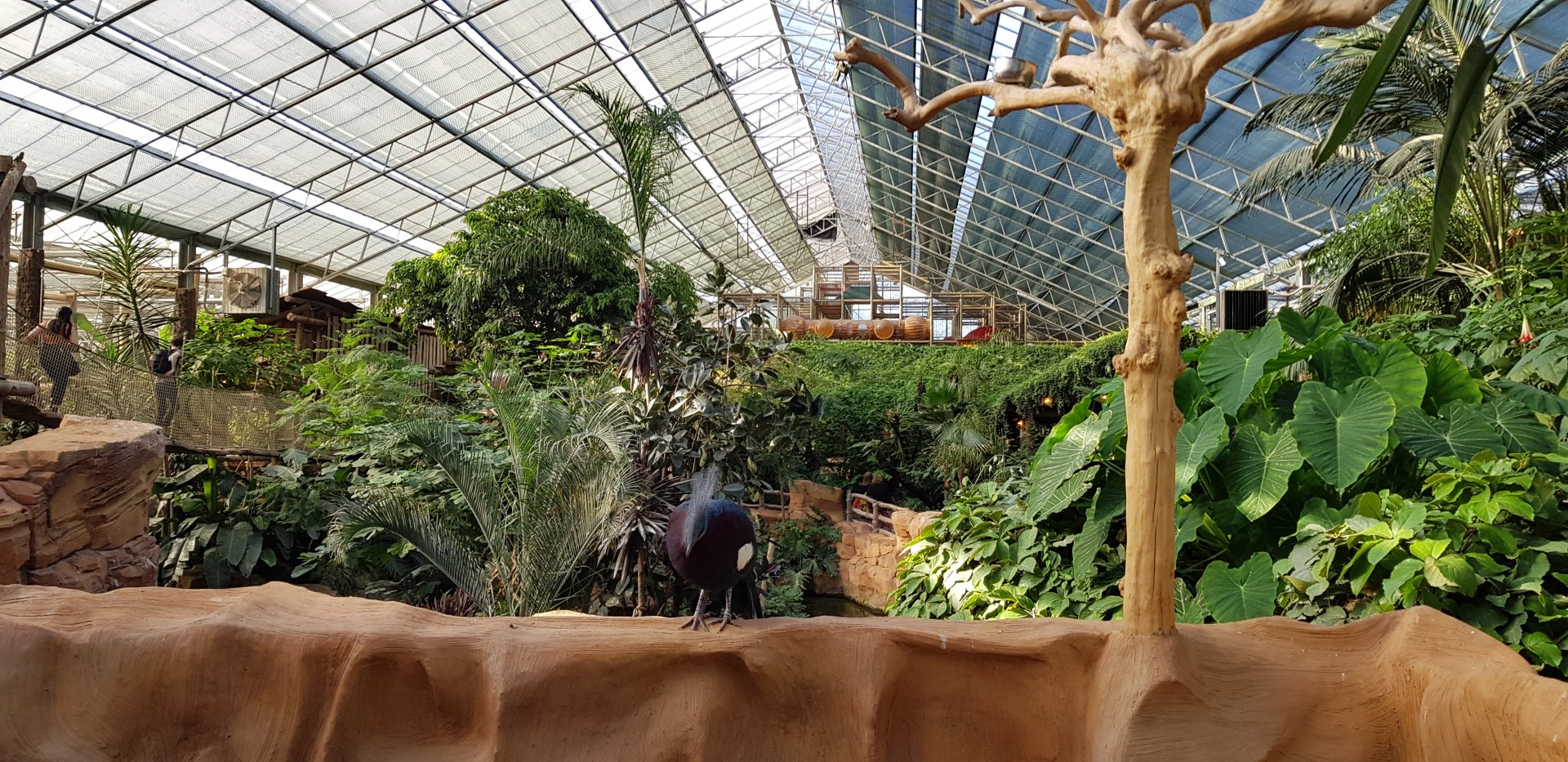 Oasis greenhouse