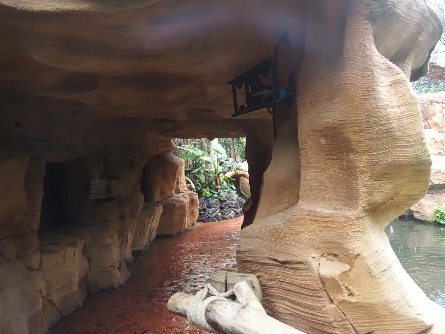 Oasis - Lower area next to former hummingbird and iguana exhibit, 2024-09-17