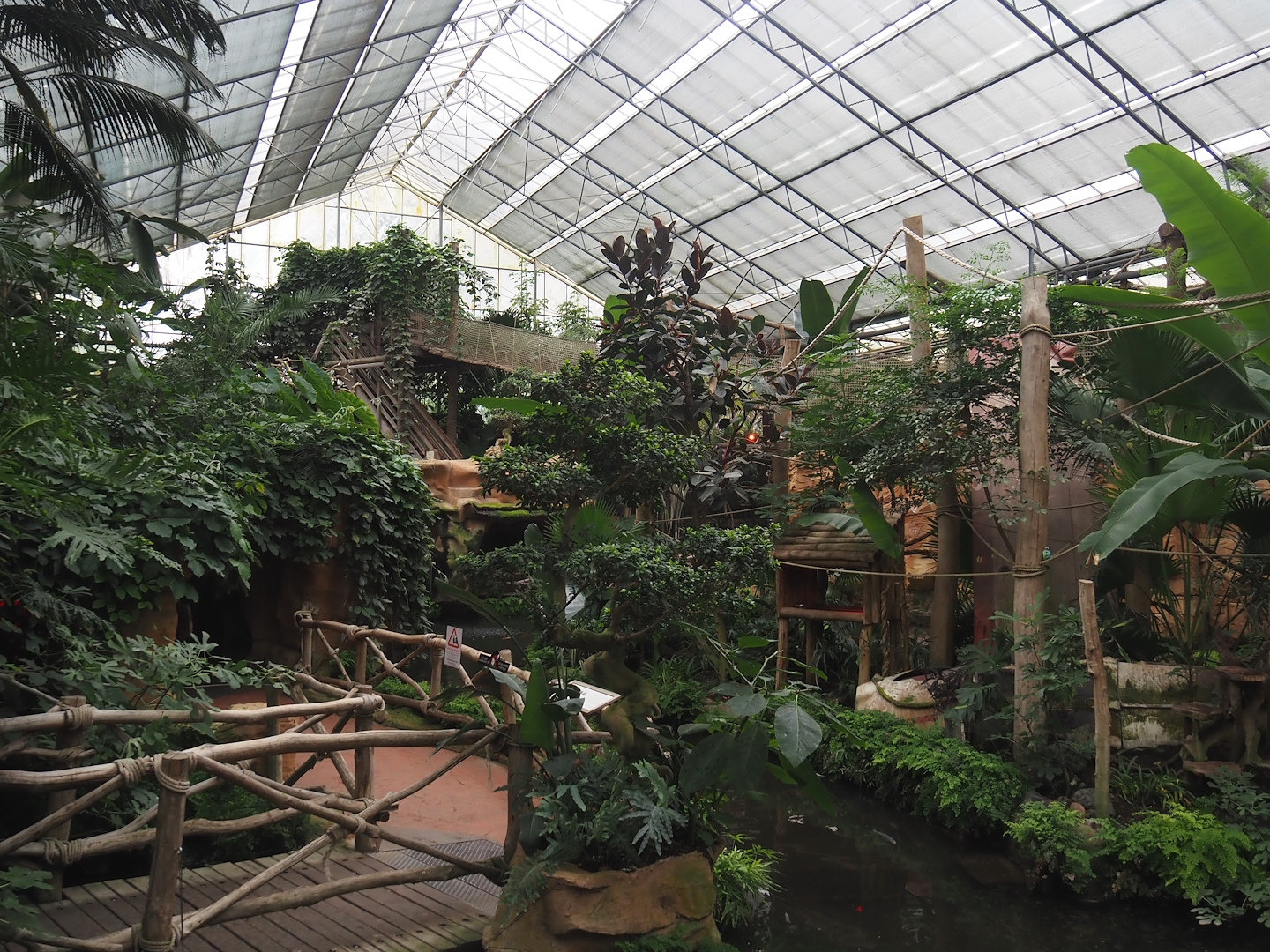 Oasis - Lower walkway and Monkey island now housing Cotton-top tamarins, 2024-09-17