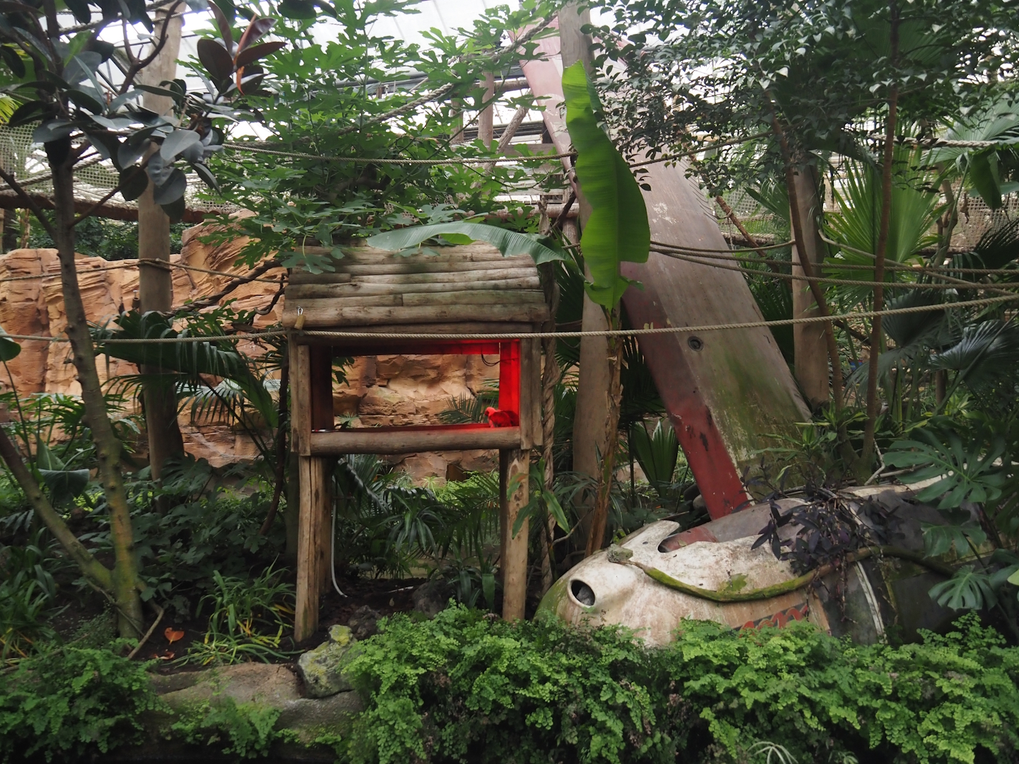 Oasis - Monkey island now housing Cotton-top tamarins, 2024-09-17