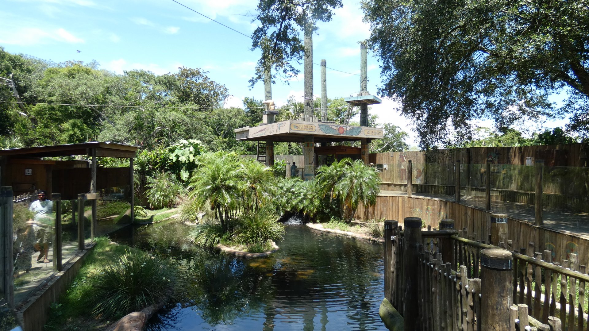 Oasis on the Nile (Nile Crocodile Exhibit) - June 2022