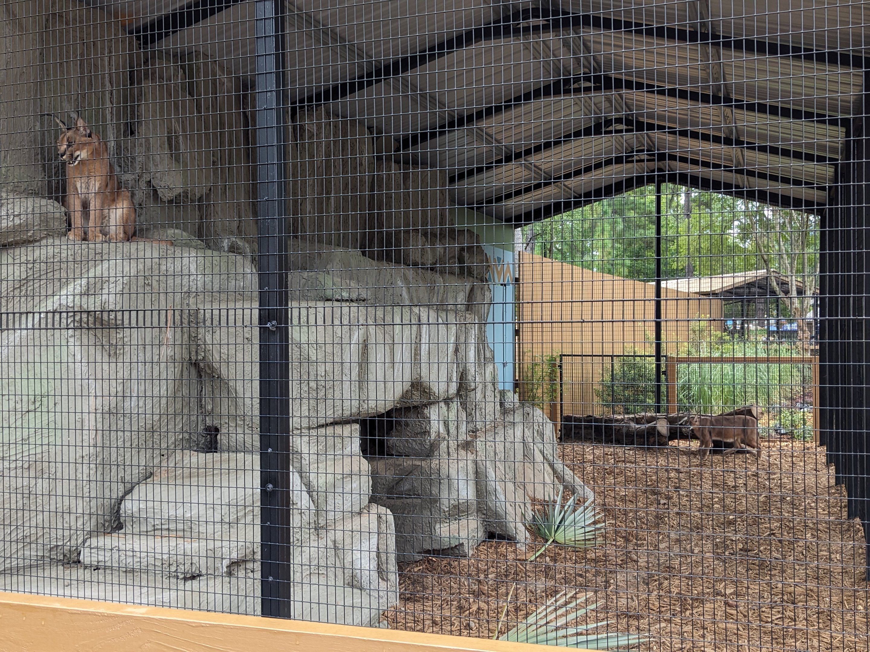 Oasis Outpost - caracol