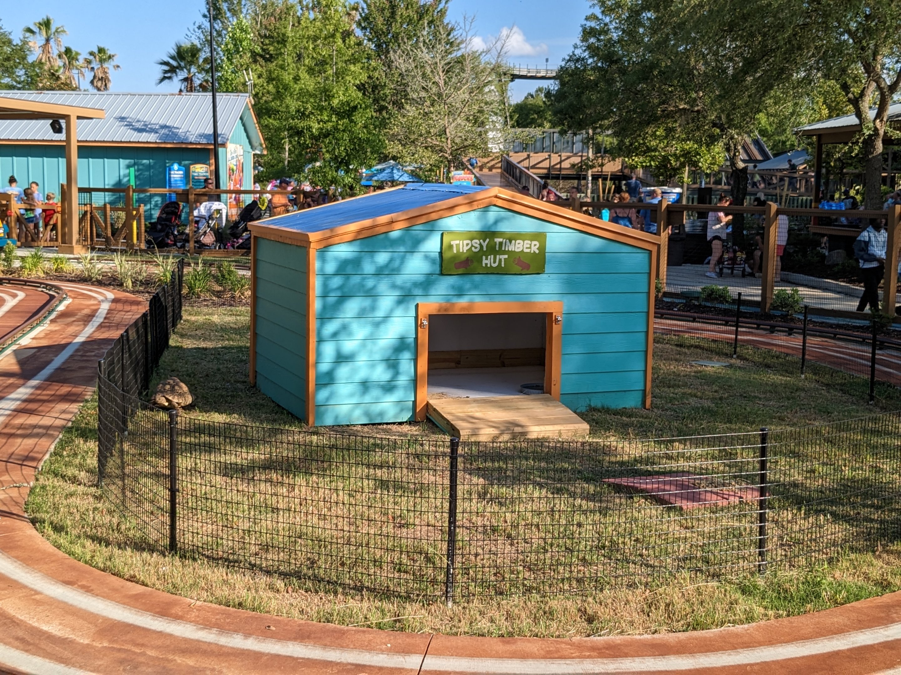 Oasis Outpost - leopard tortoise