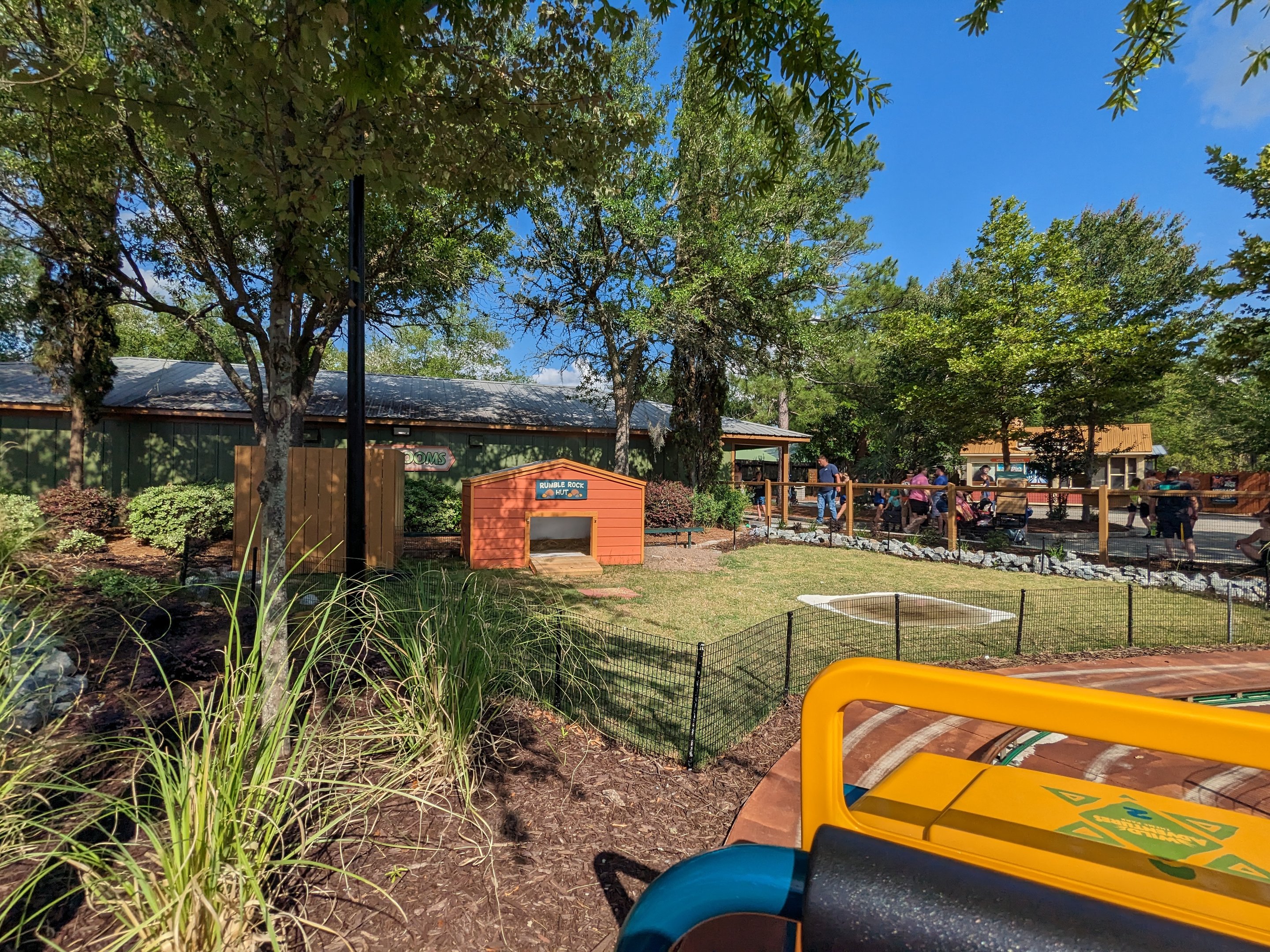 Oasis Outpost - leopard tortoise