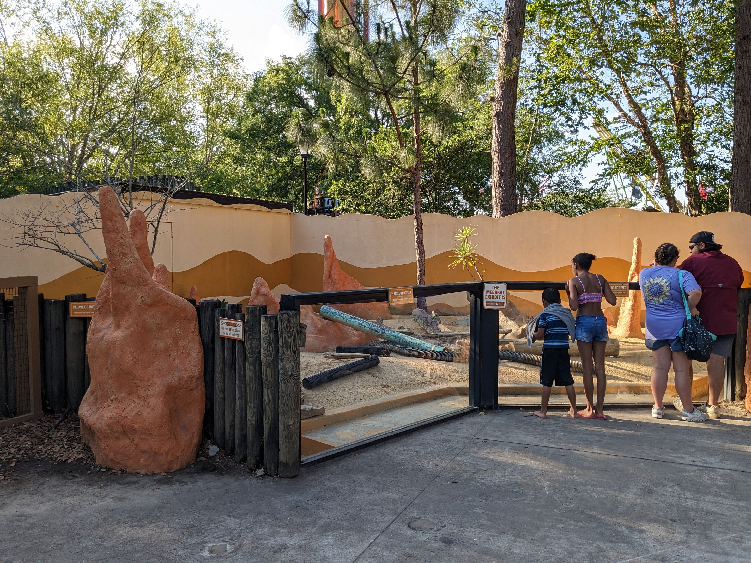 Oasis Outpost - meercat
