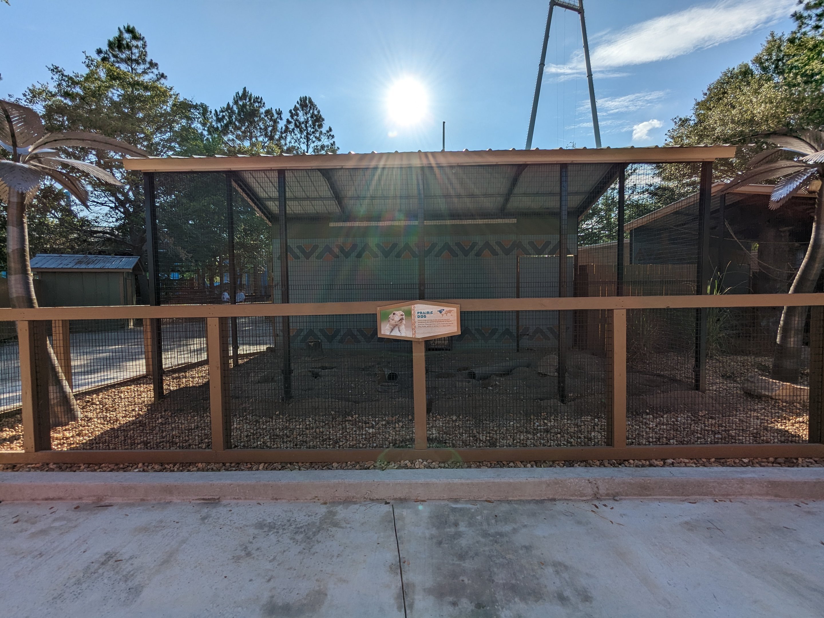 Oasis Outpost - prairie dogs