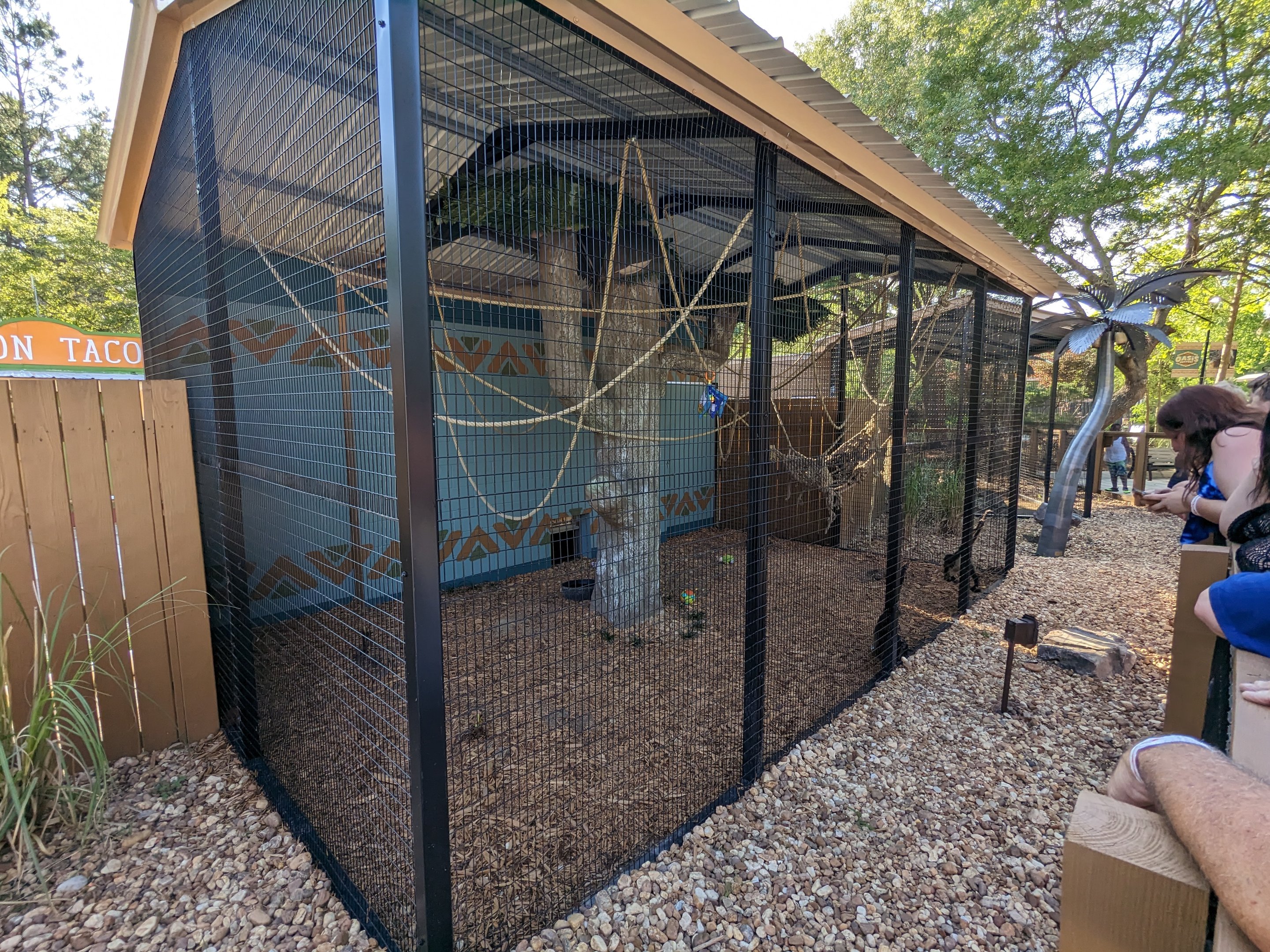 Oasis Outpost - spider monkey