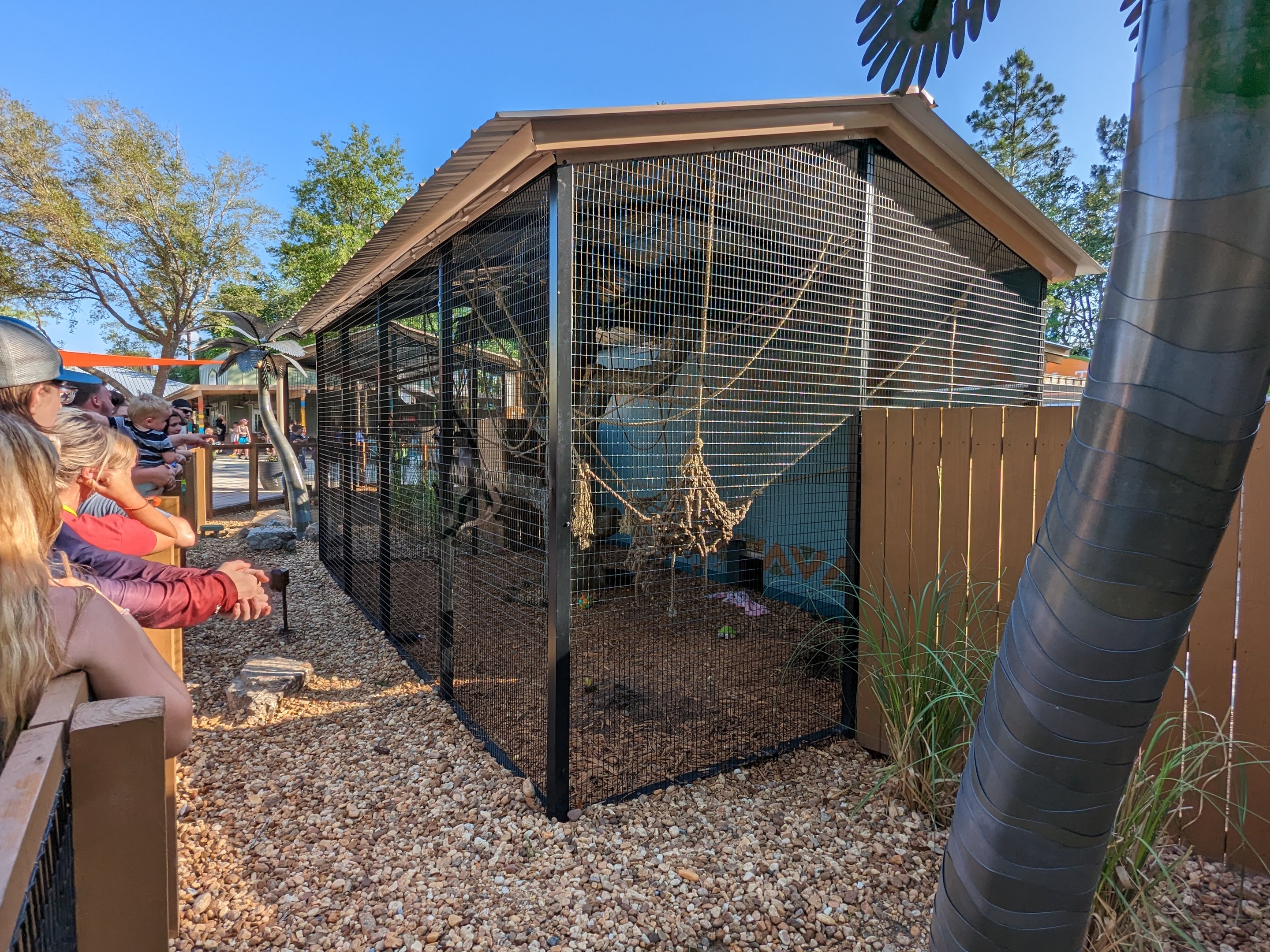 Oasis Outpost - spider monkey