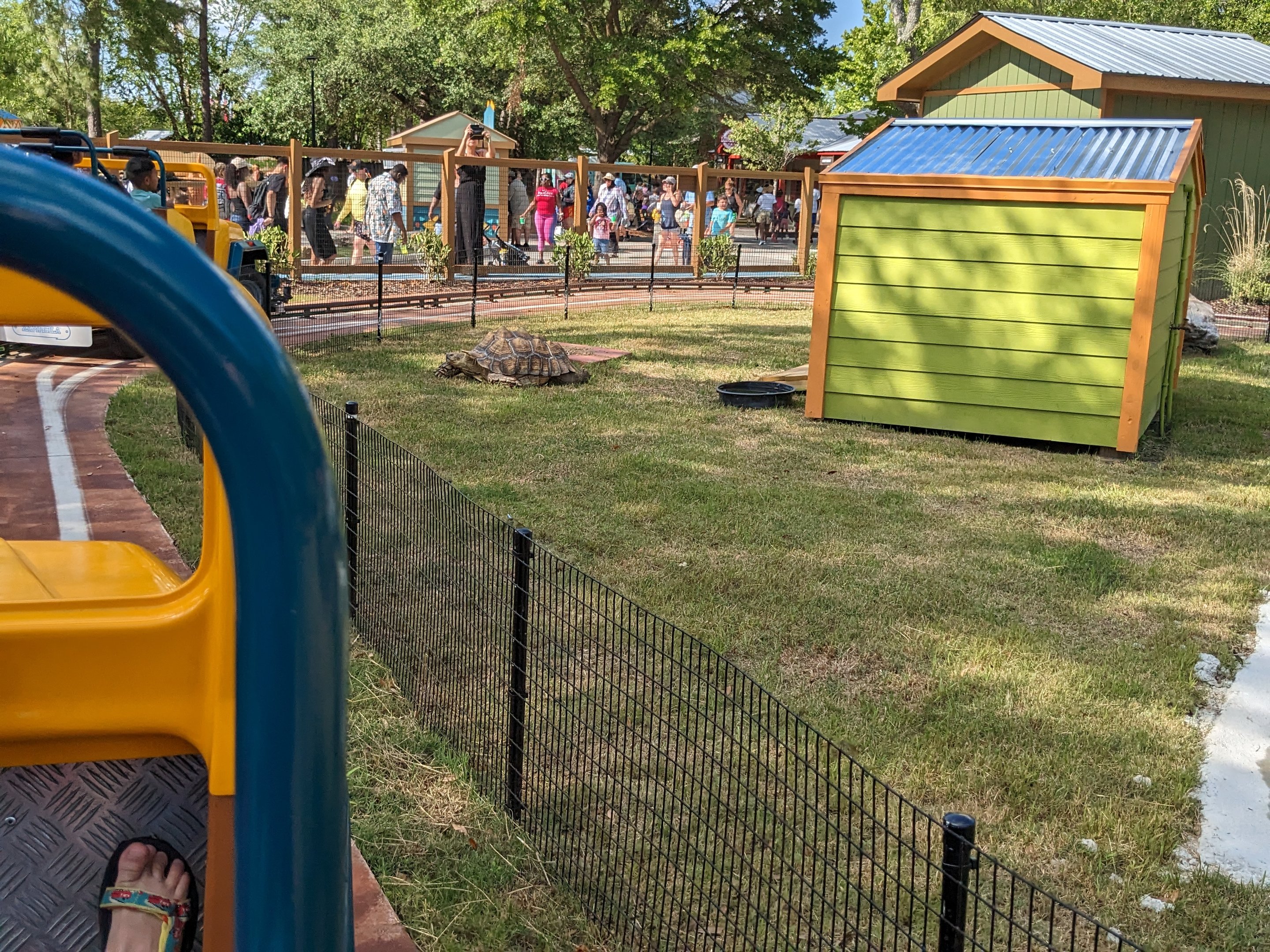 Oasis Outpost - sulcata tortoise