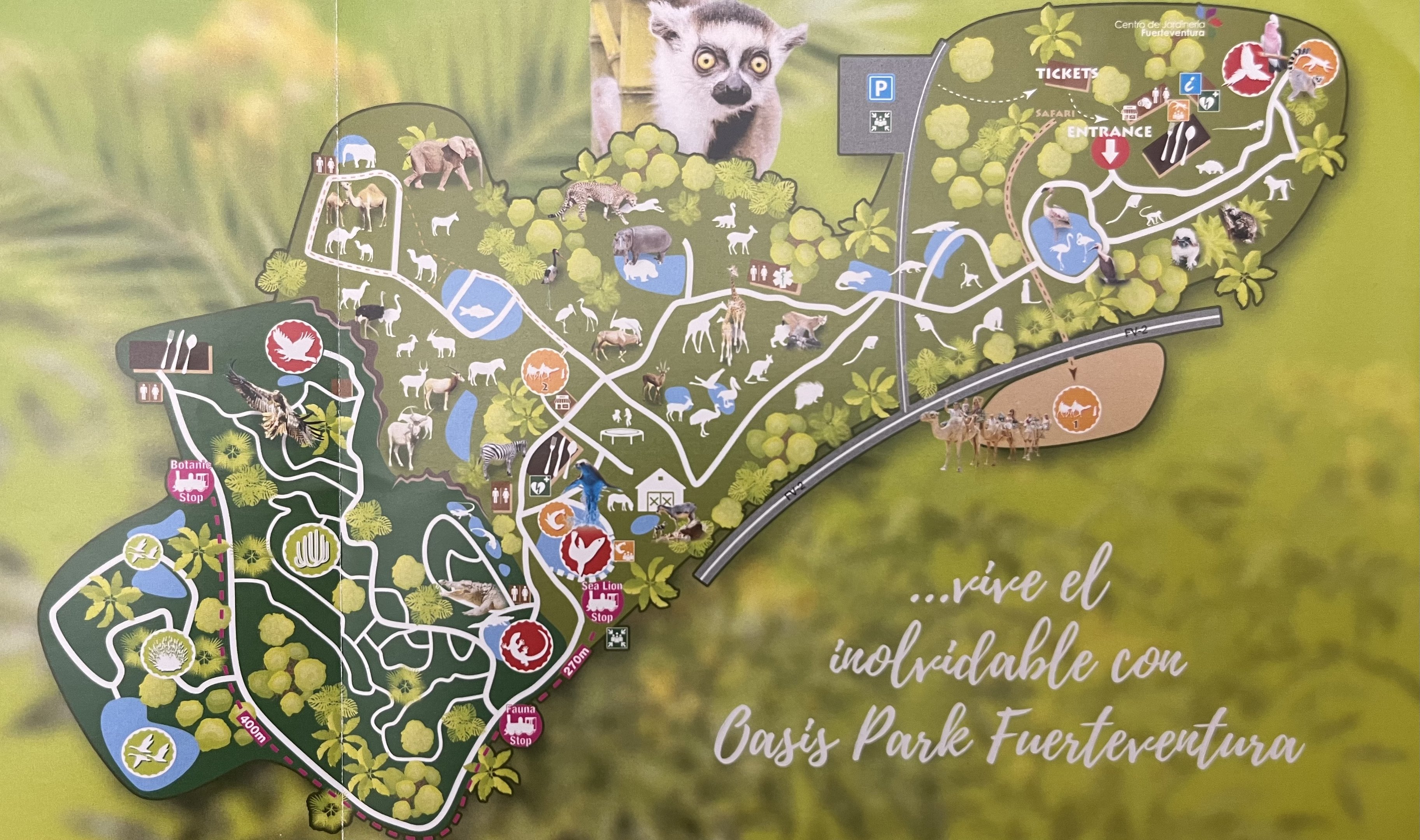 Oasis Park Fuerteventura Map - undated
