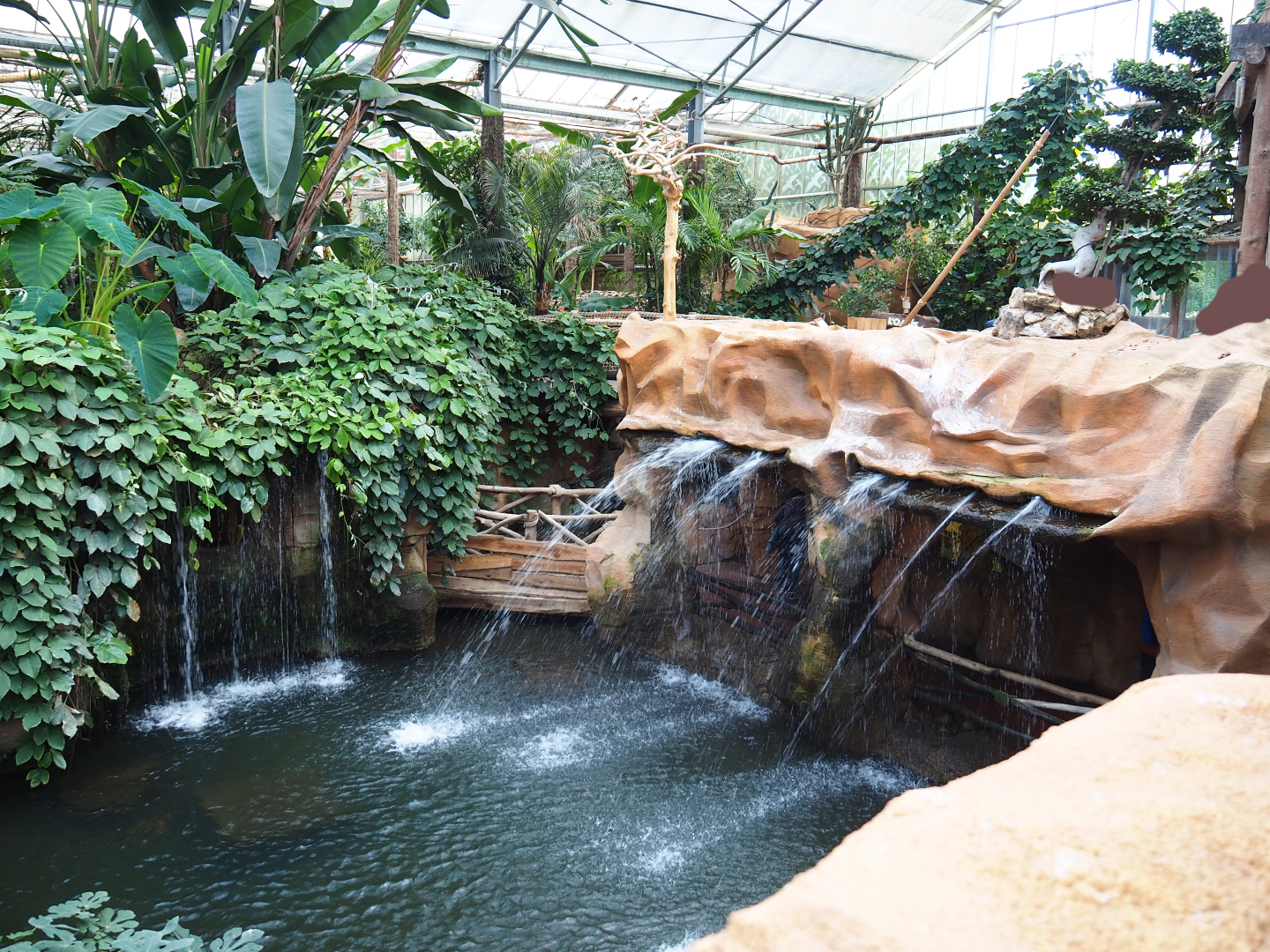 Oasis - pond around monkey island and cave with hummingbird and chinchilla exhibits, 2019-10-05