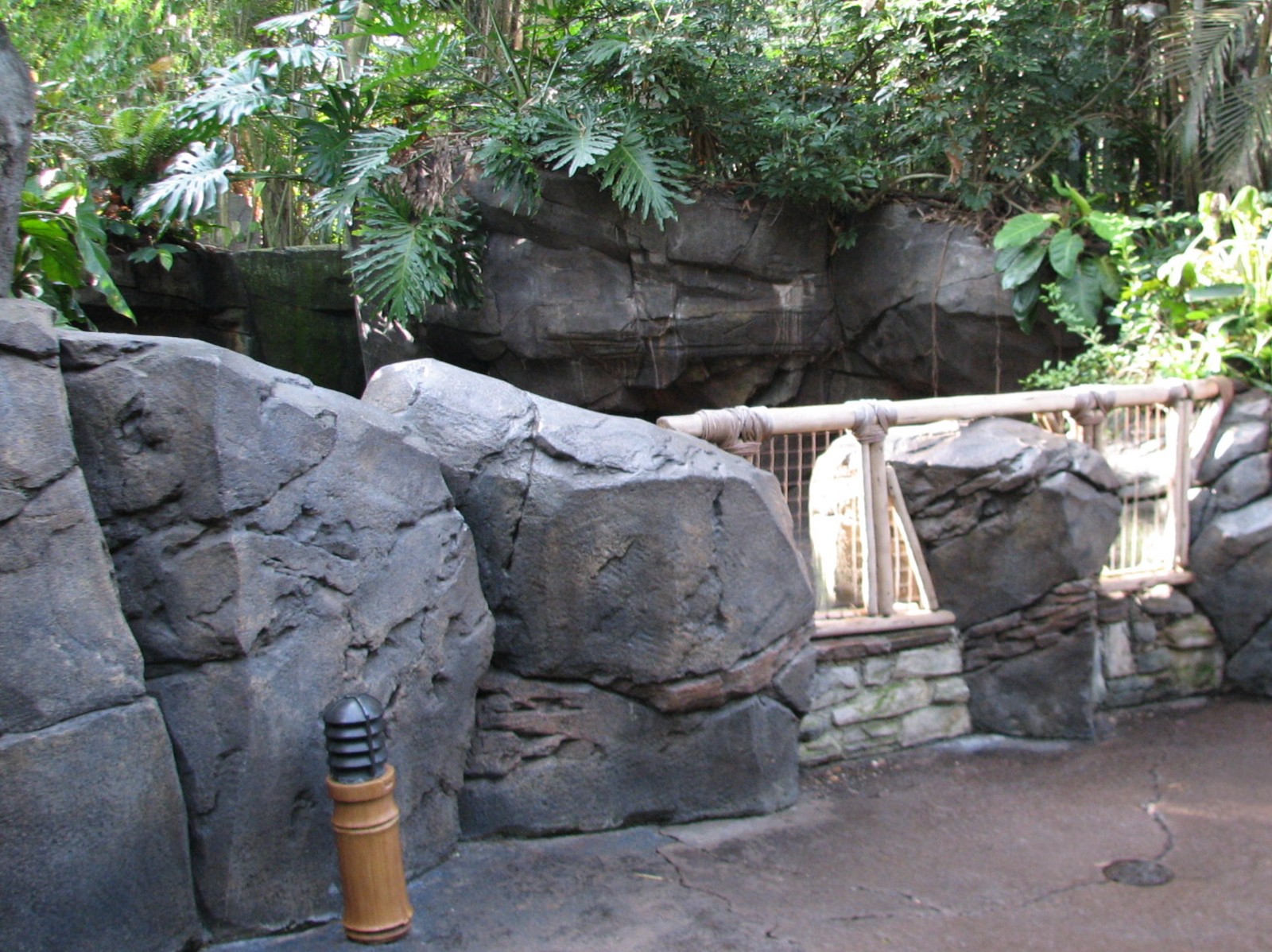 Oasis - Rhinoceros Iguana Exhibit