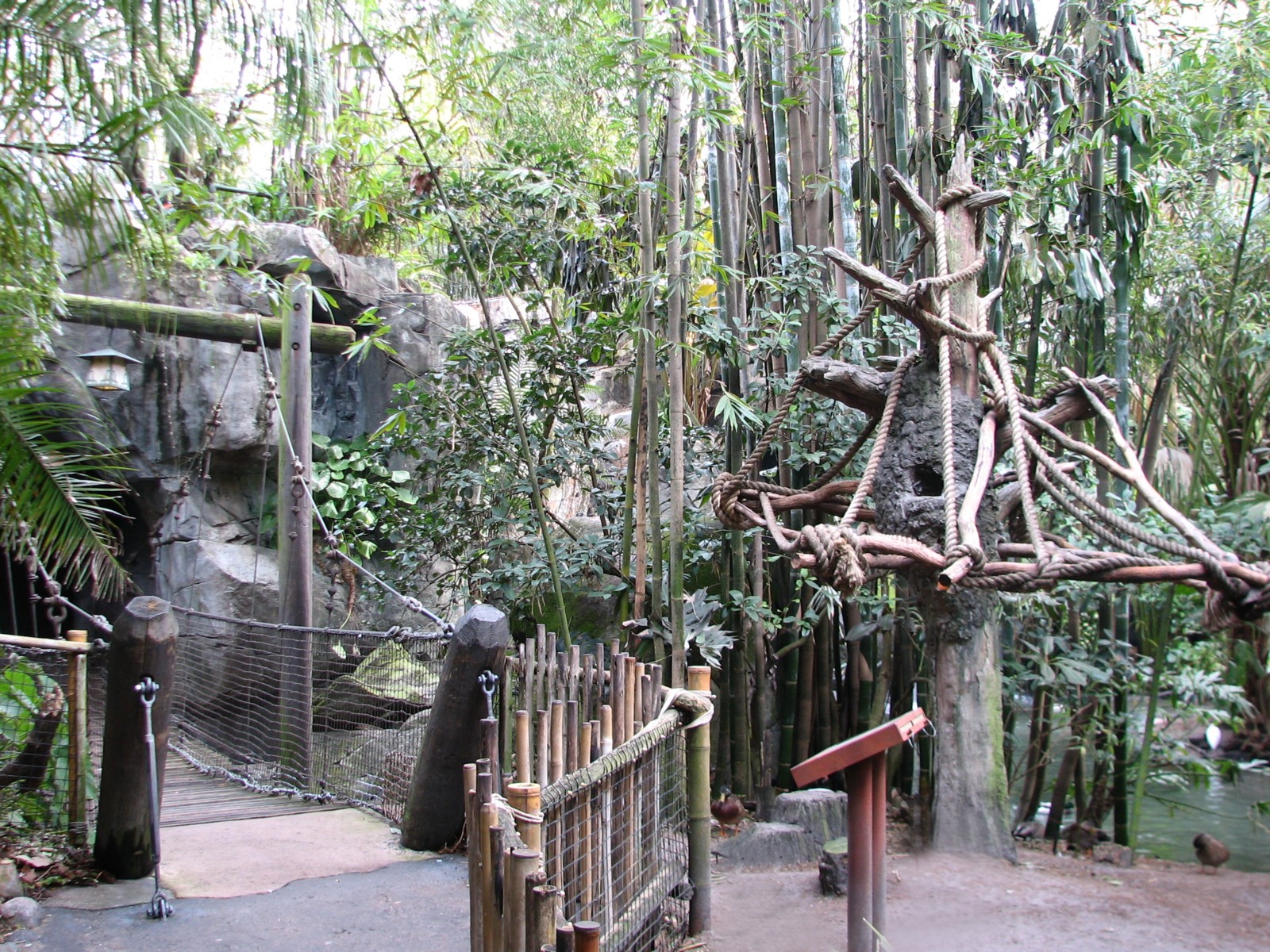 Oasis - Scarlet Macaw Exhibit