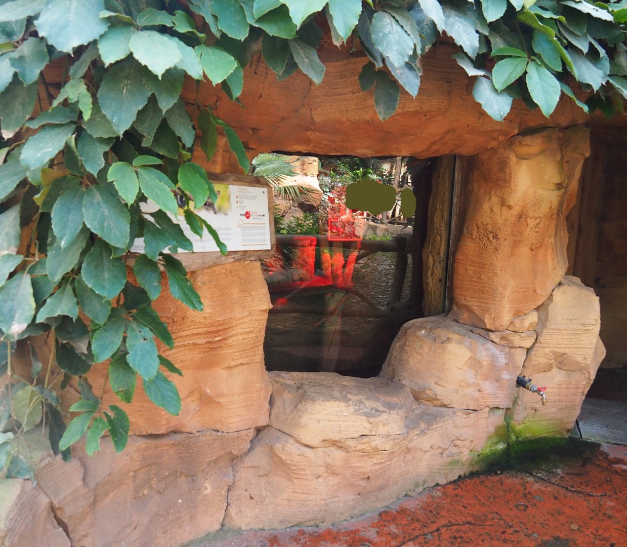 Oasis - Sugar glider exhibit, 2022-06-28