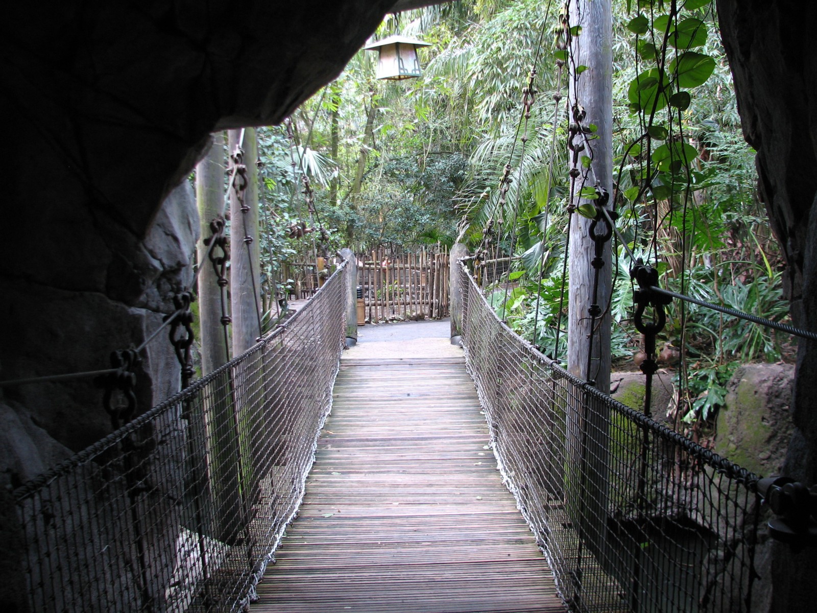 Oasis - Suspension Bridge