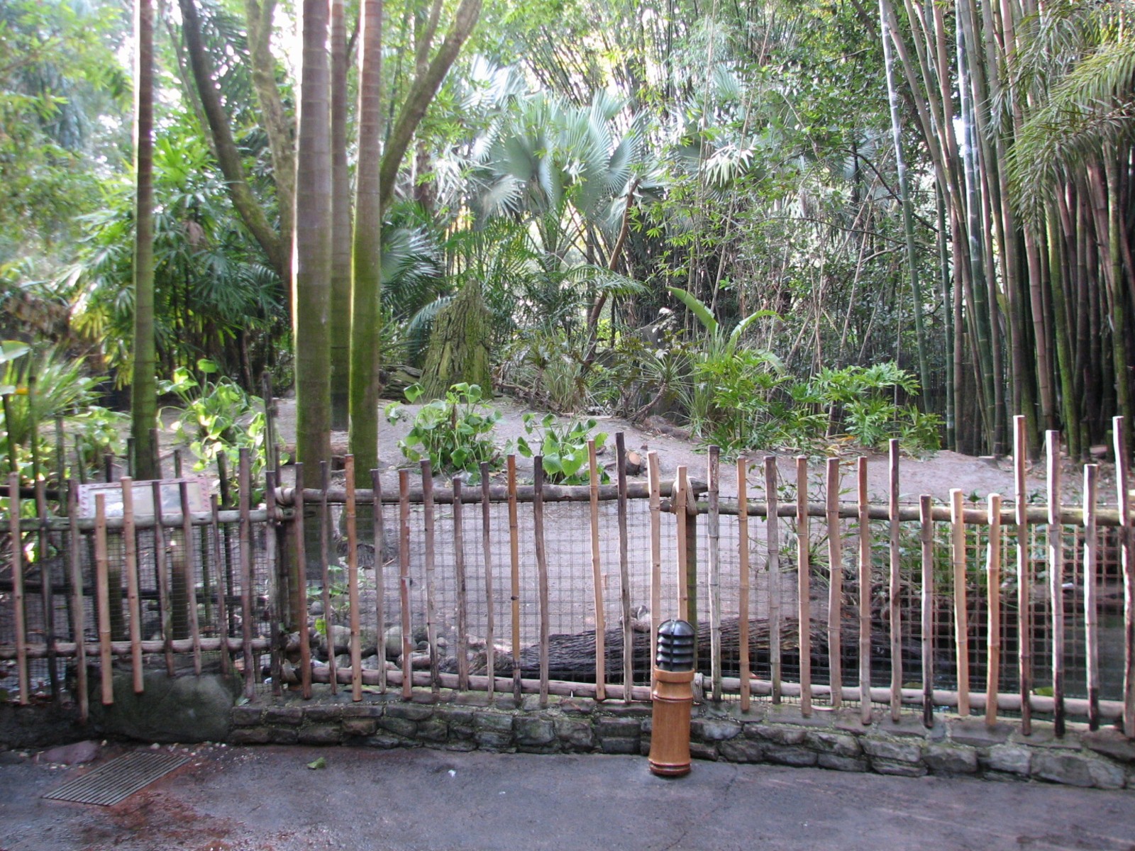Oasis - Swamp Wallaby Exhibit