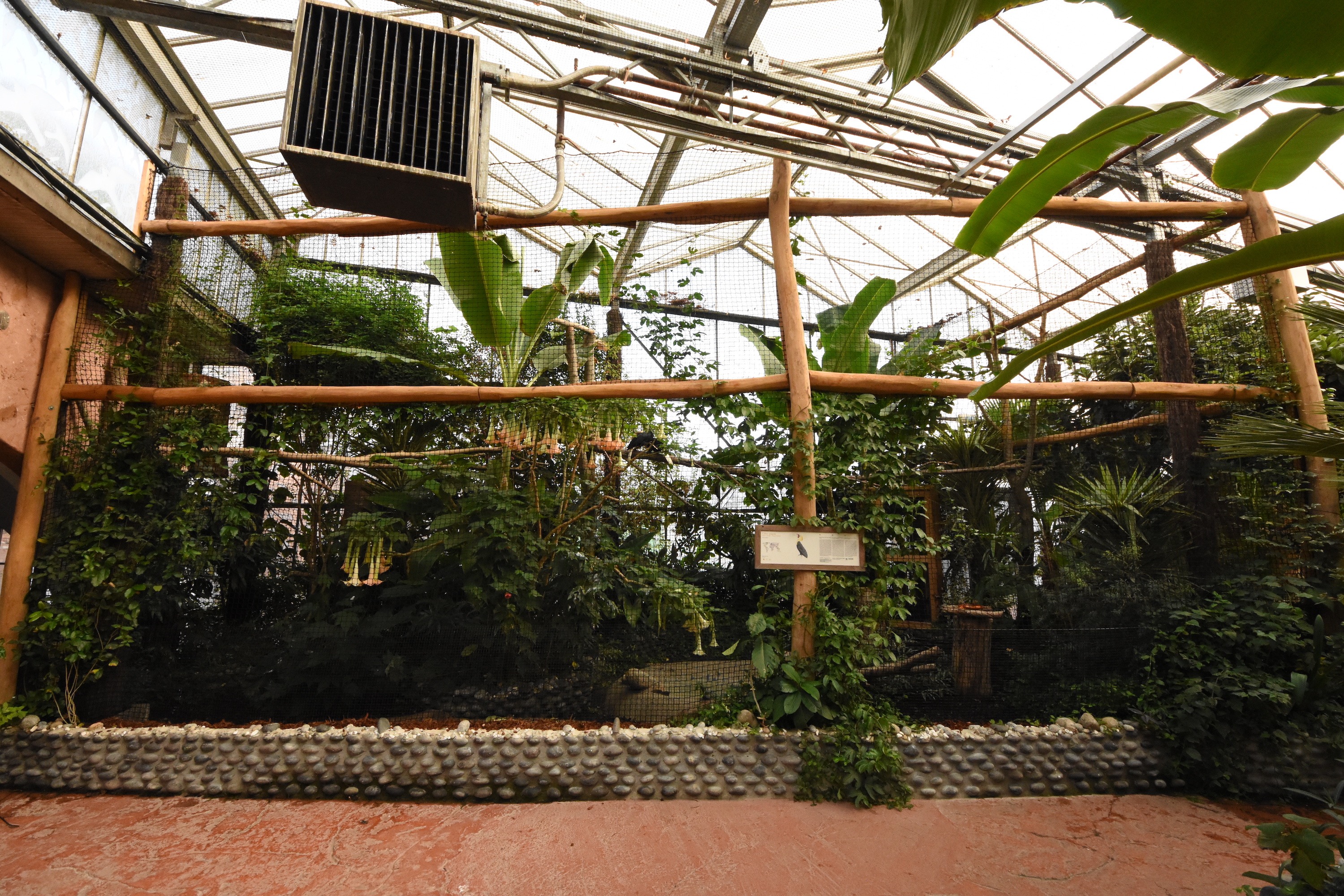 Oasis tropical hall - Hornbill aviary