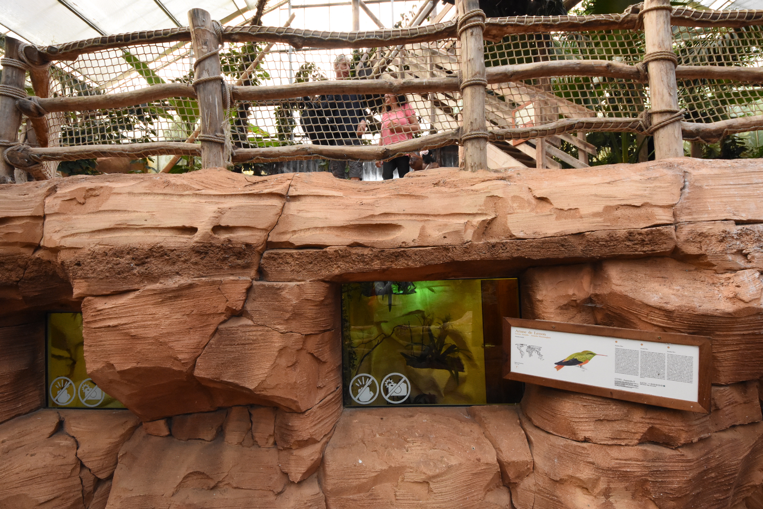 Oasis tropical hall - Hummingbird aviary