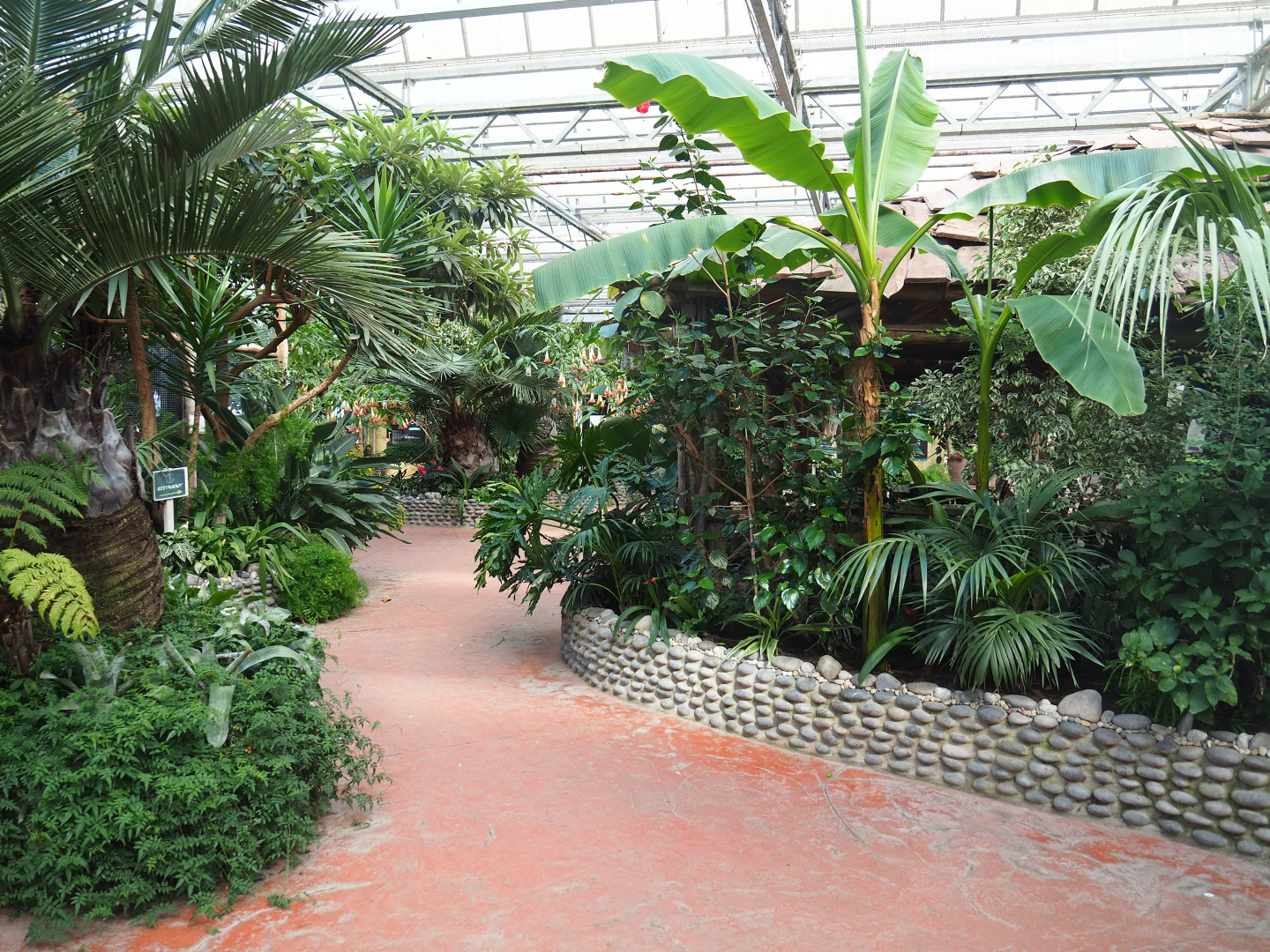 Oasis - Walkway, 2022-06-28