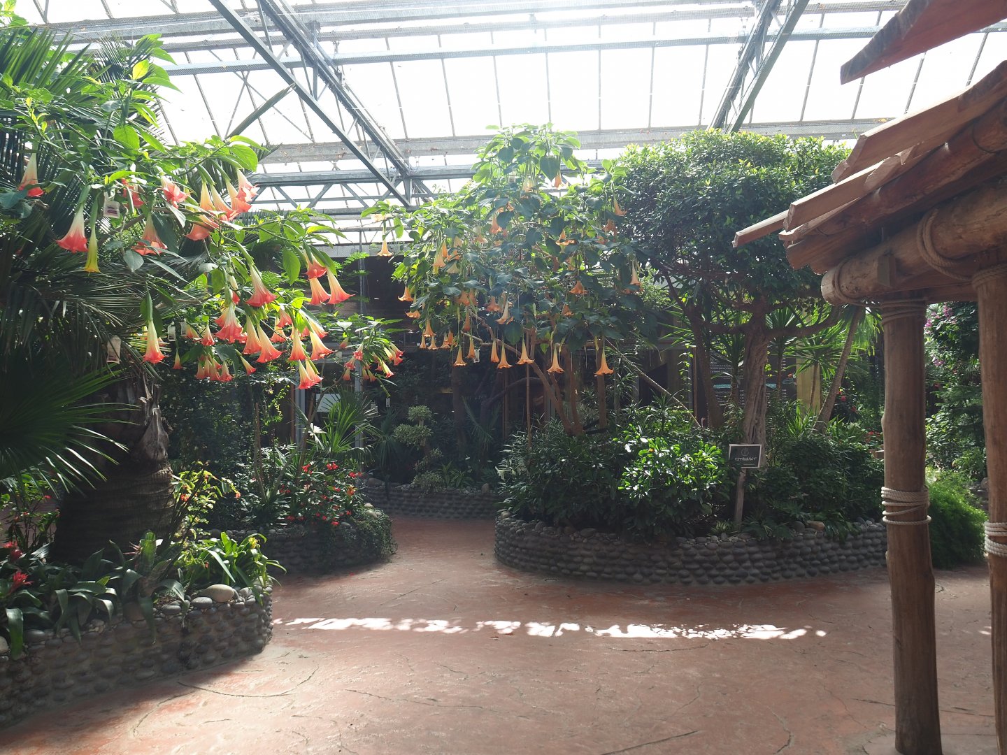 Oasis - Walkway and viewing areas near the tamarin and agouti exhibits, 2022-06-28