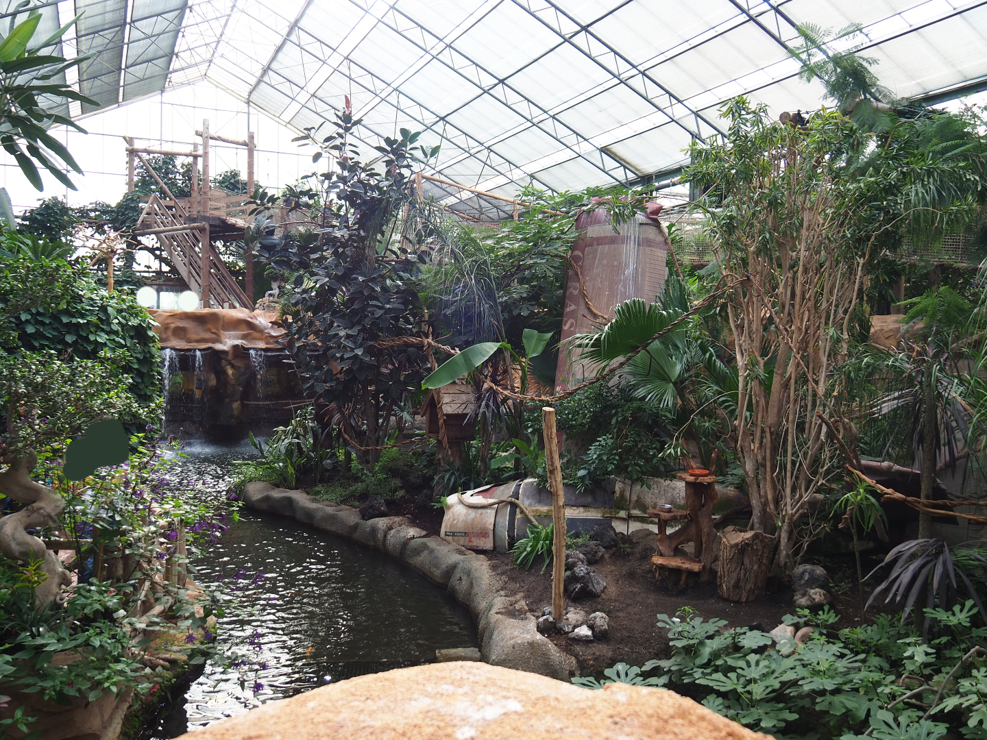 Oasis - White-faced saki and Cotton-top tamarin island, 2019-10-05