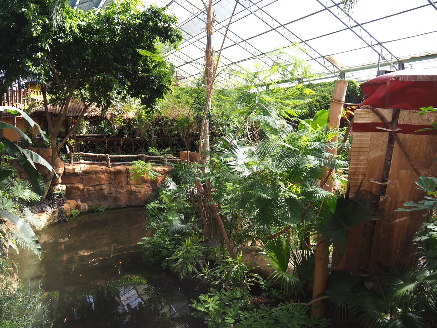 Oasis - White-faced saki island, 2022-06-28