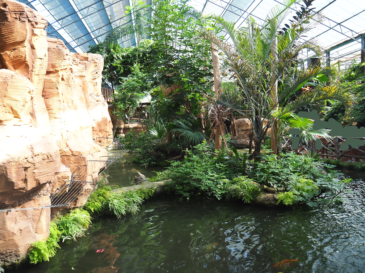 Oasis - White-faced saki island, 2022-06-28