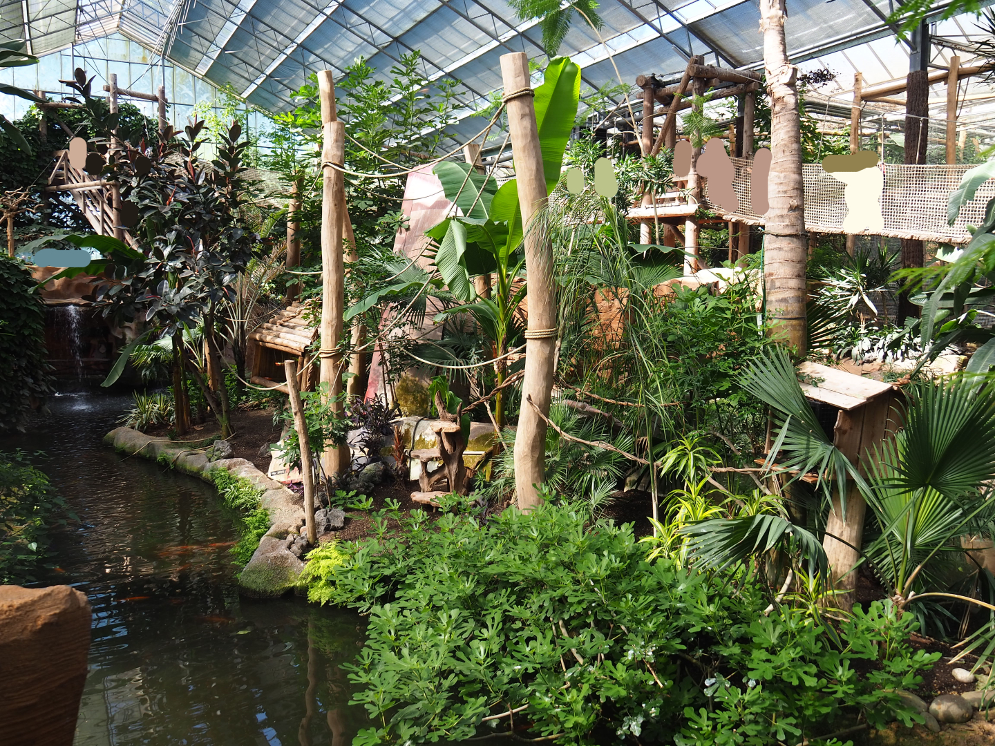 Oasis - White-faced saki island, 2022-06-28