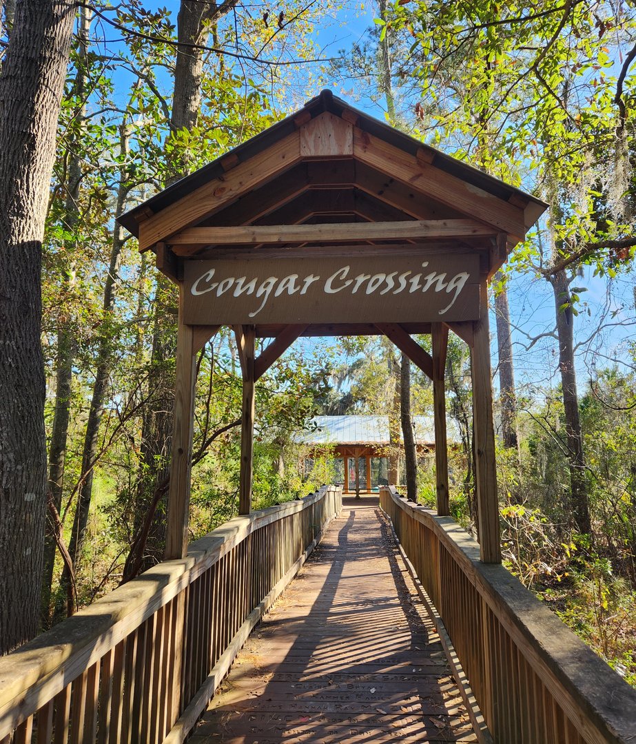 Oatland Island Wildlife Center (2023) - Cougar Crossing