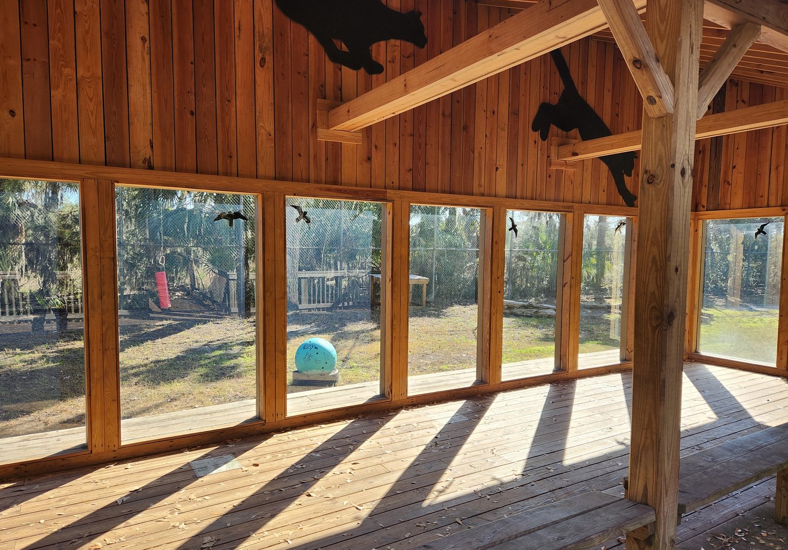 Oatland Island Wildlife Center (2023) - Cougar exhibit