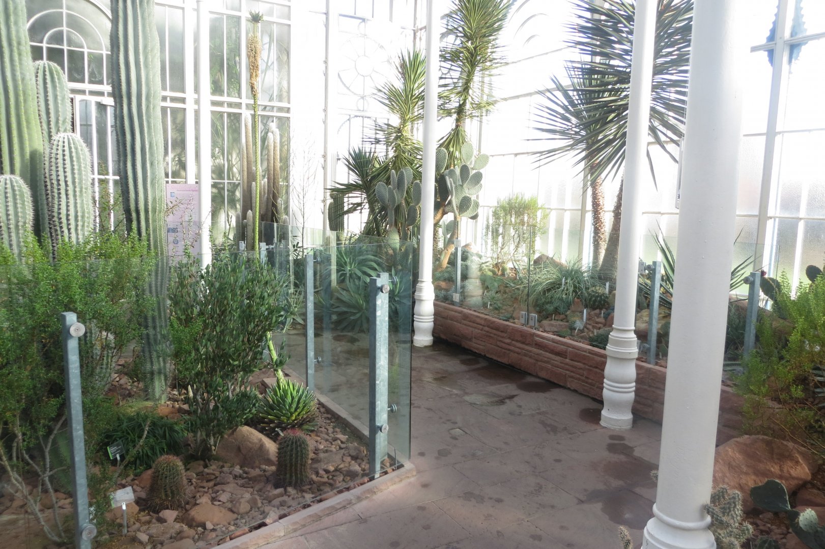 Oberes Kakteenhaus 011218