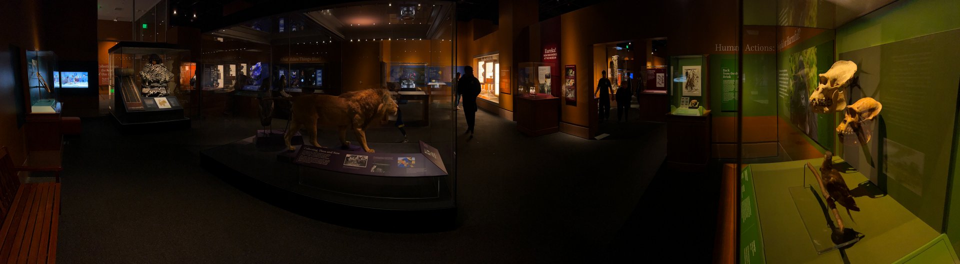 Objects Of Wonder Exhibit - Panorama 1