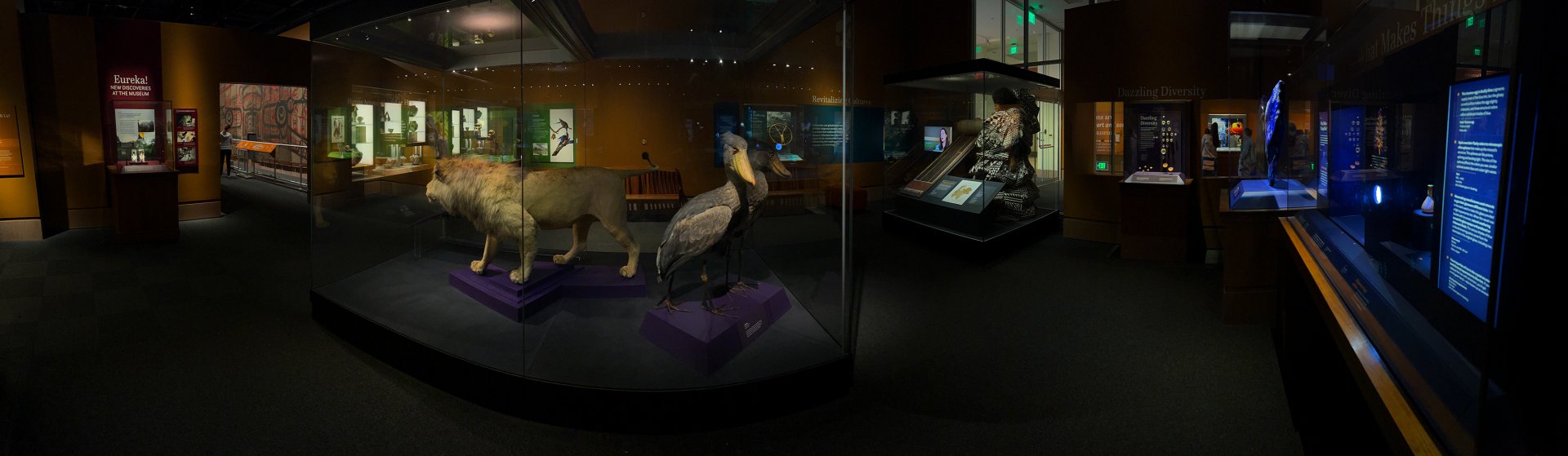 Objects Of Wonder Exhibit - Panorama 2