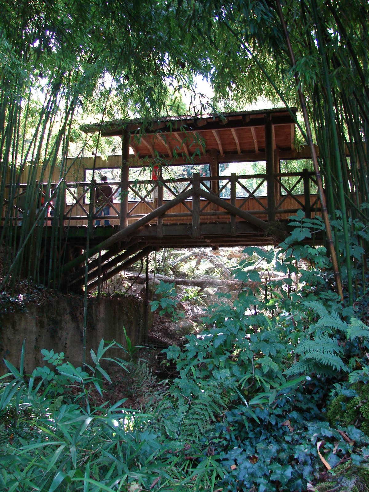 Observation boardwalk (Persian leopard exhibit)