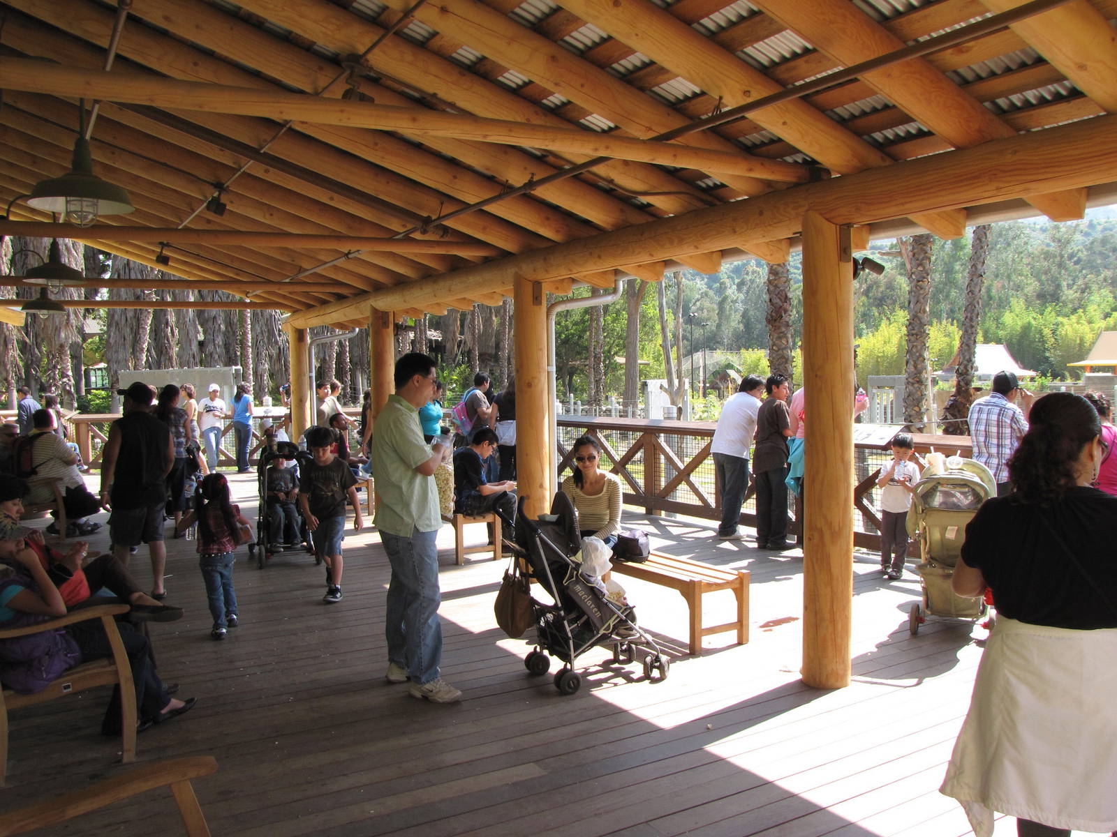 Observation Deck - Elephants of Cambodia