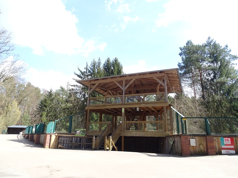 Observation deck for tiger enclosure