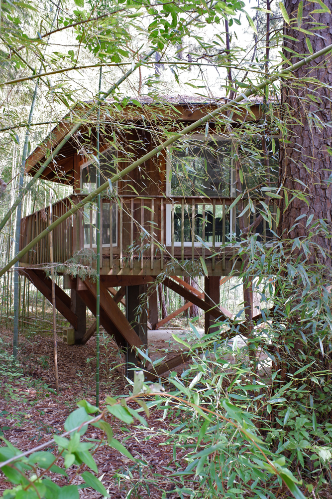 observation deck (in lemur forest)