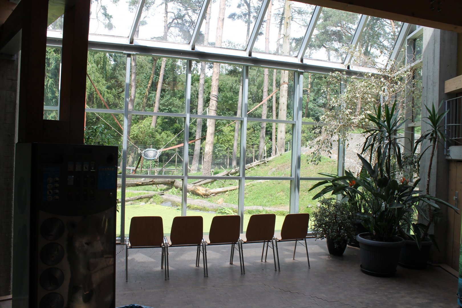 Observation-place Outdoor-enclosure Barbary macaqque