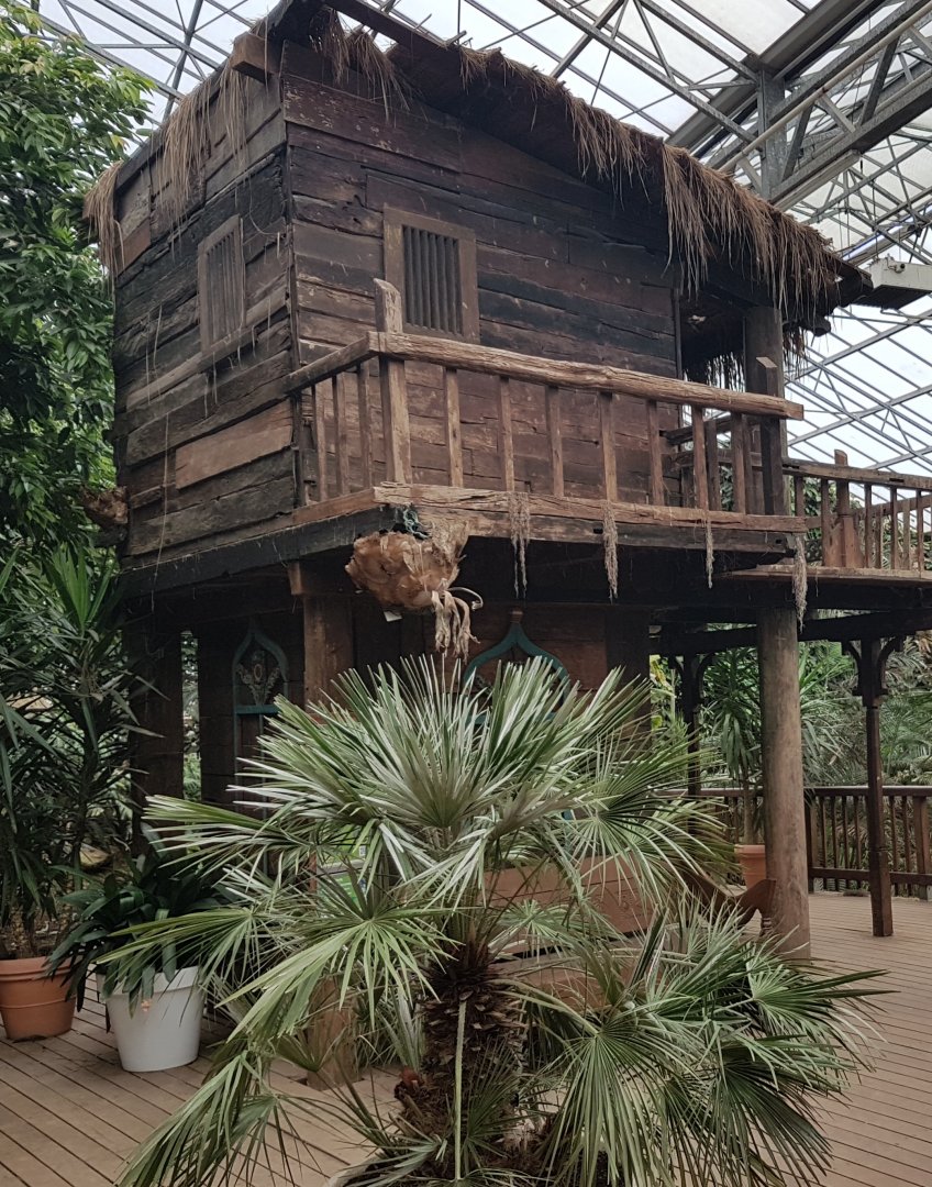 Observation-shed in Tropical Hall