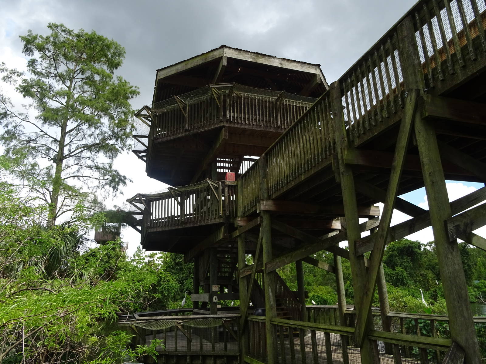 Observation Tower at Gatorland