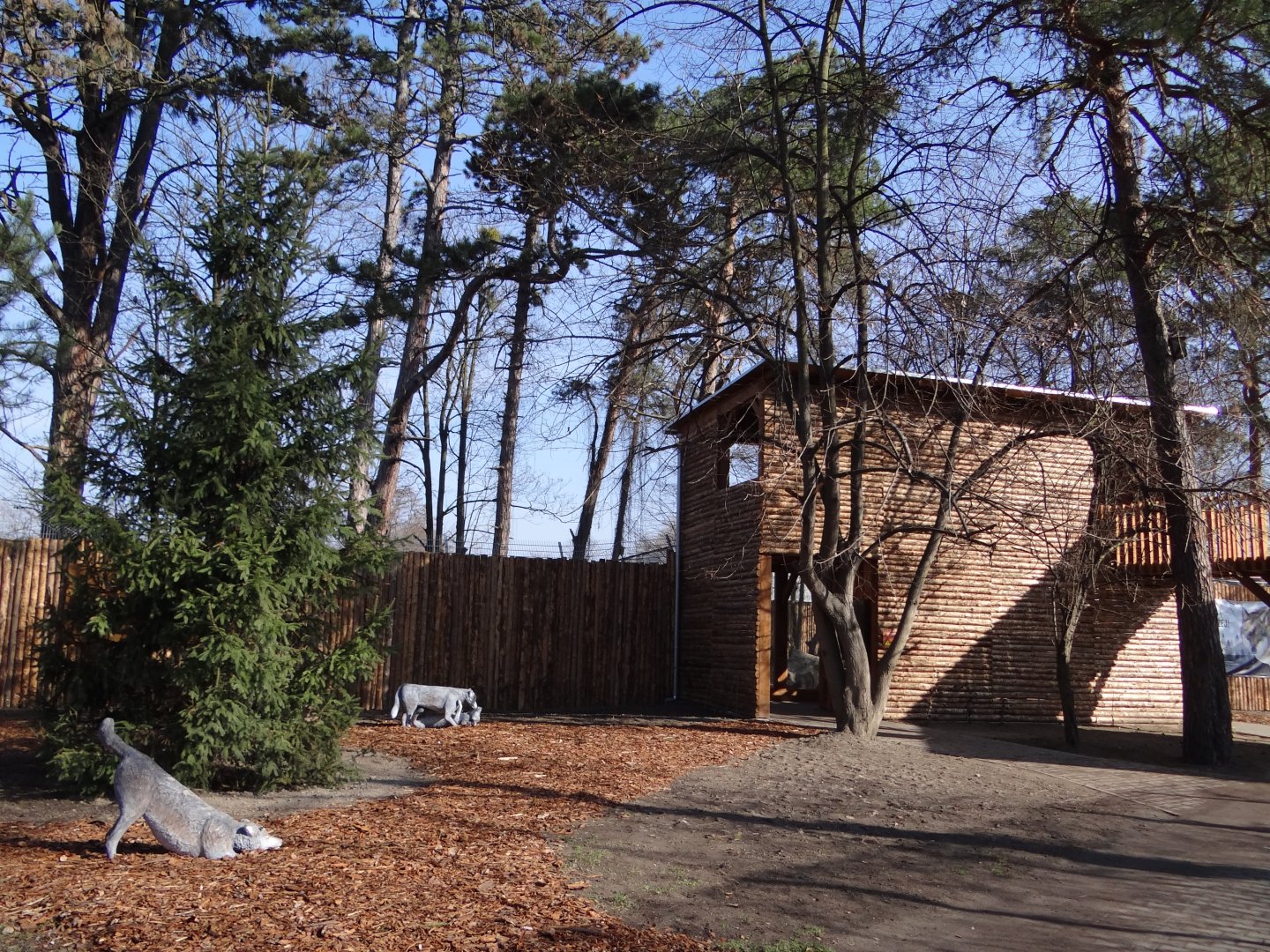 Observation tower at wolf enclosure