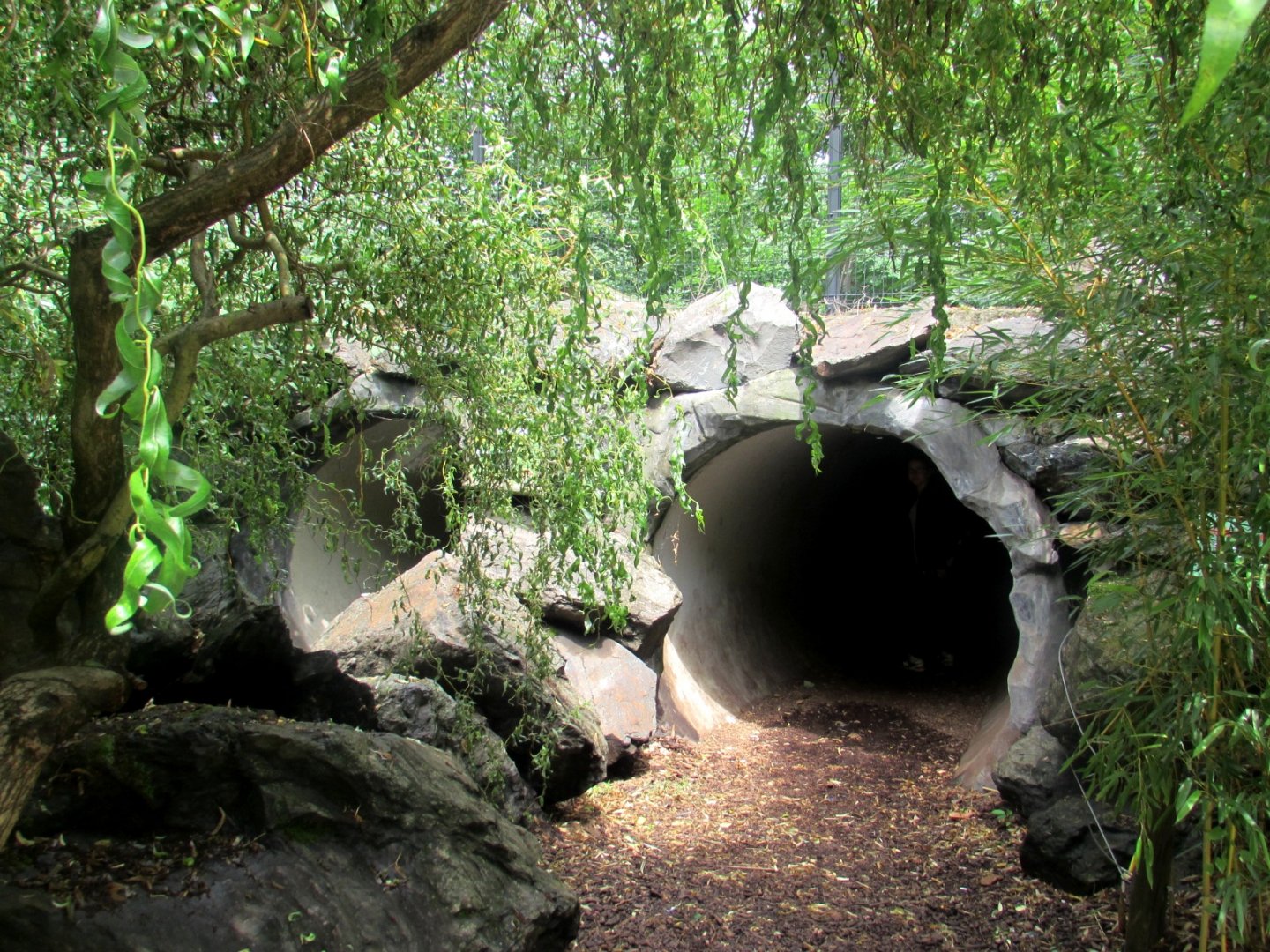 Observation tunnel - wolves enclosure