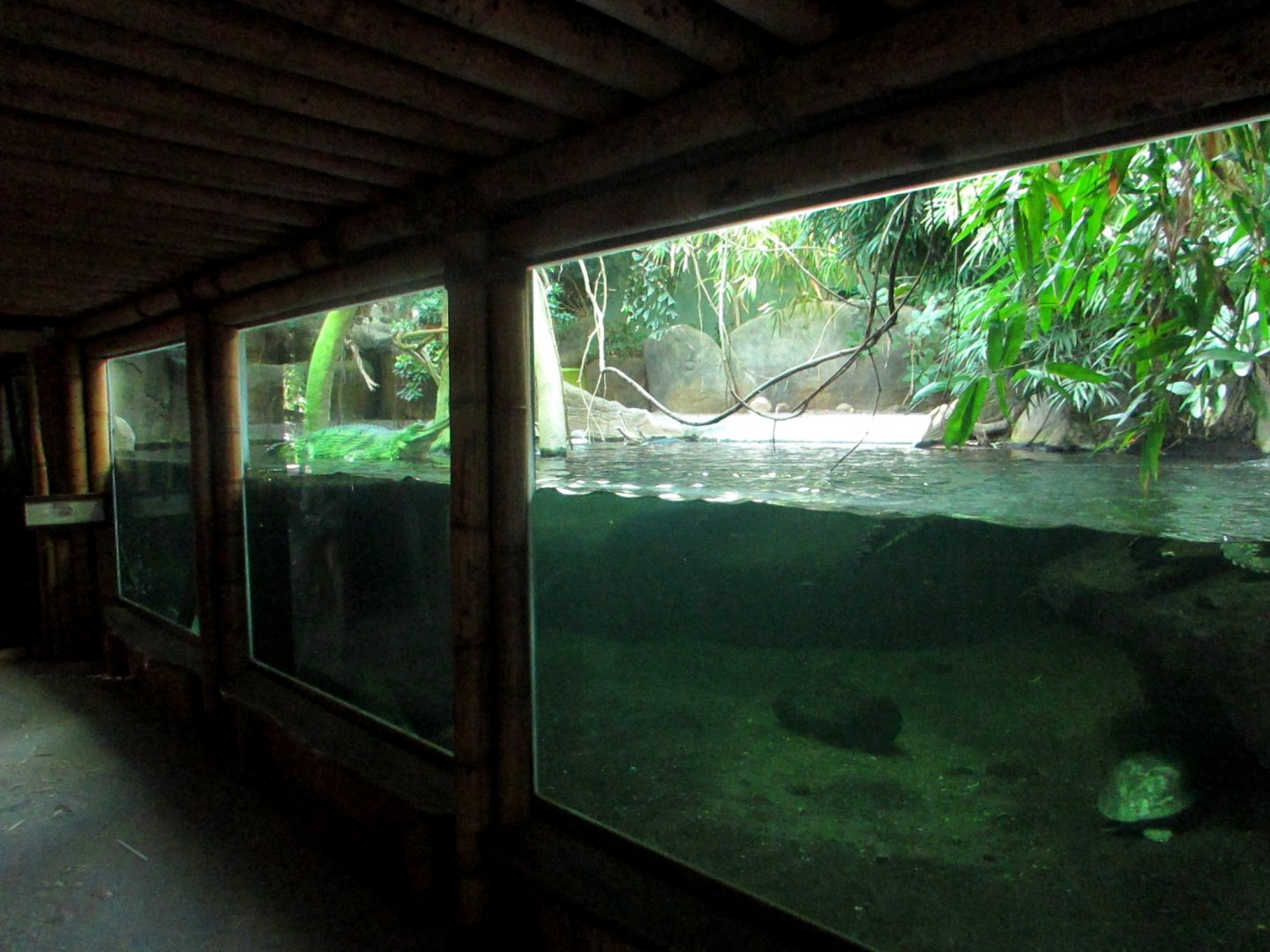 Observation window in the Gharial House - July/2017