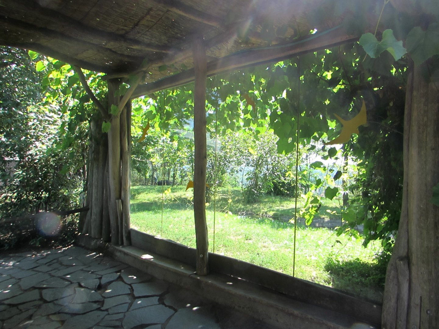 Observation window. Southern Cassowary enclosure. - July/2017