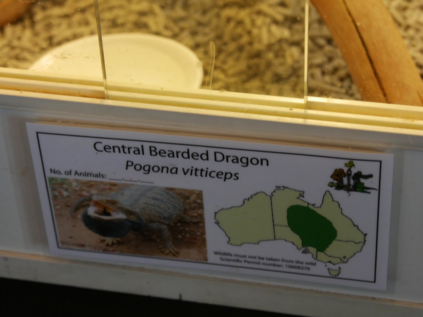 Obviously Incorrect Signage